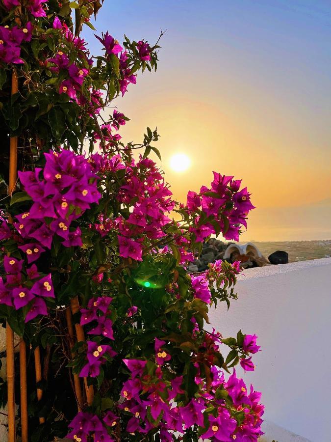 Villa Kastelli88 Santorini Pyrgos מראה חיצוני תמונה