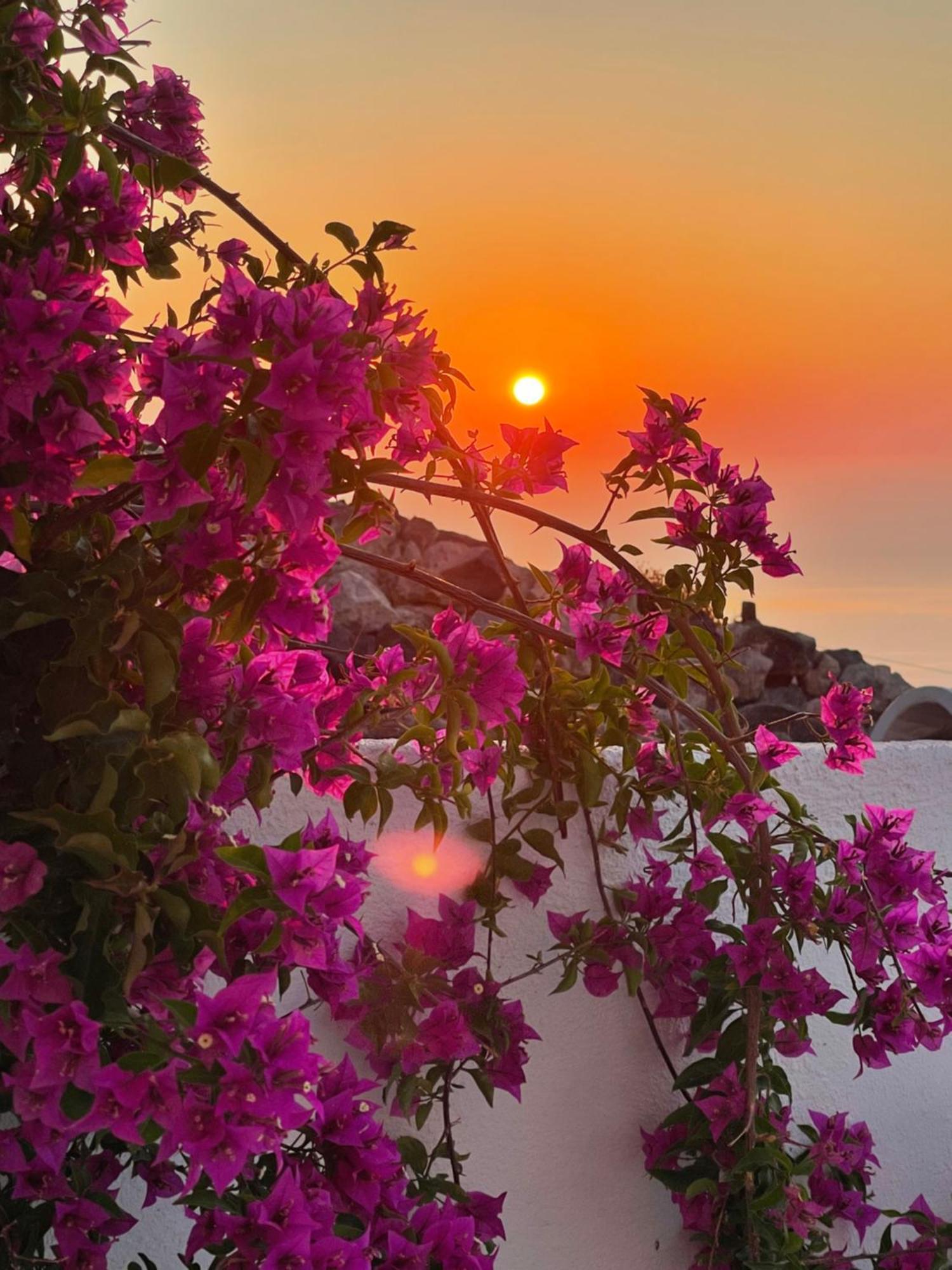 Villa Kastelli88 Santorini Pyrgos מראה חיצוני תמונה
