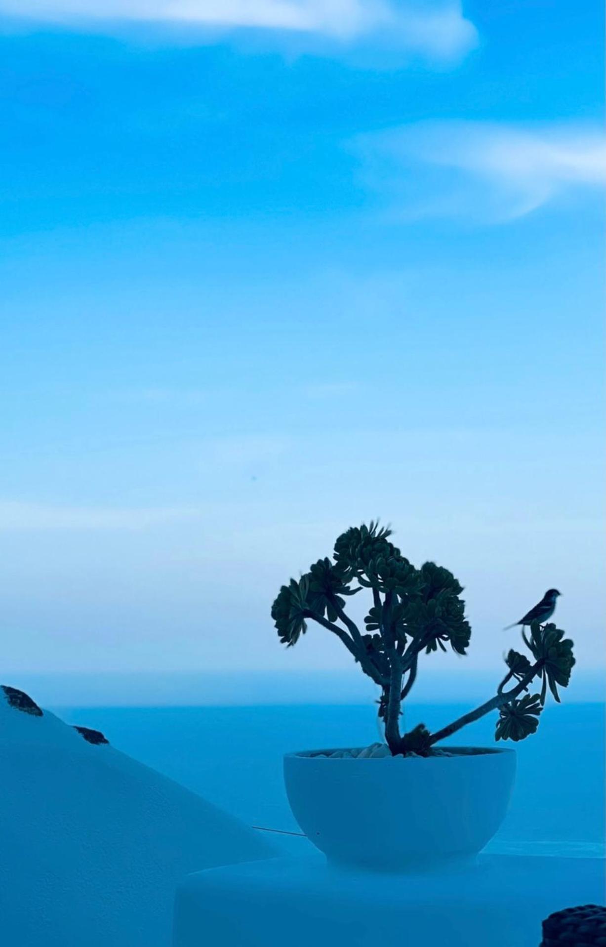 Villa Kastelli88 Santorini Pyrgos מראה חיצוני תמונה